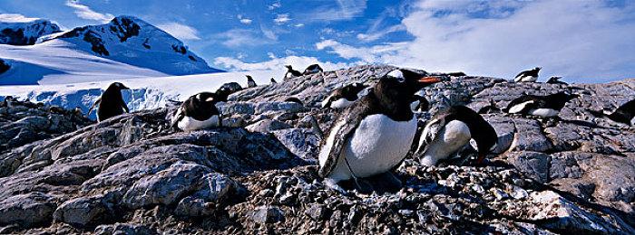 《MUV-LUV TACTICS》配置规格情报公开 战略SRPG新游