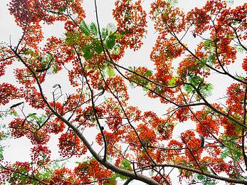 《新宿葬命》4月12日Steam正式推出 视觉小说冒险